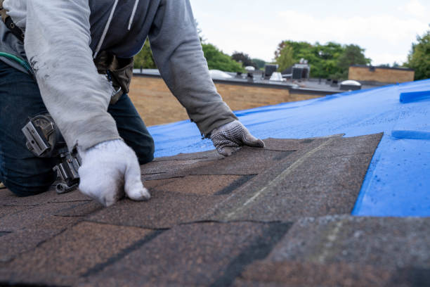 Best Roof Leak Repair  in Coushatta, LA