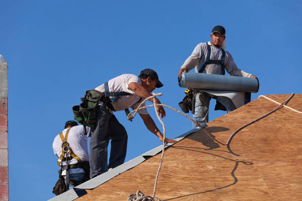 Best Gutter Installation and Roofing  in Coushatta, LA